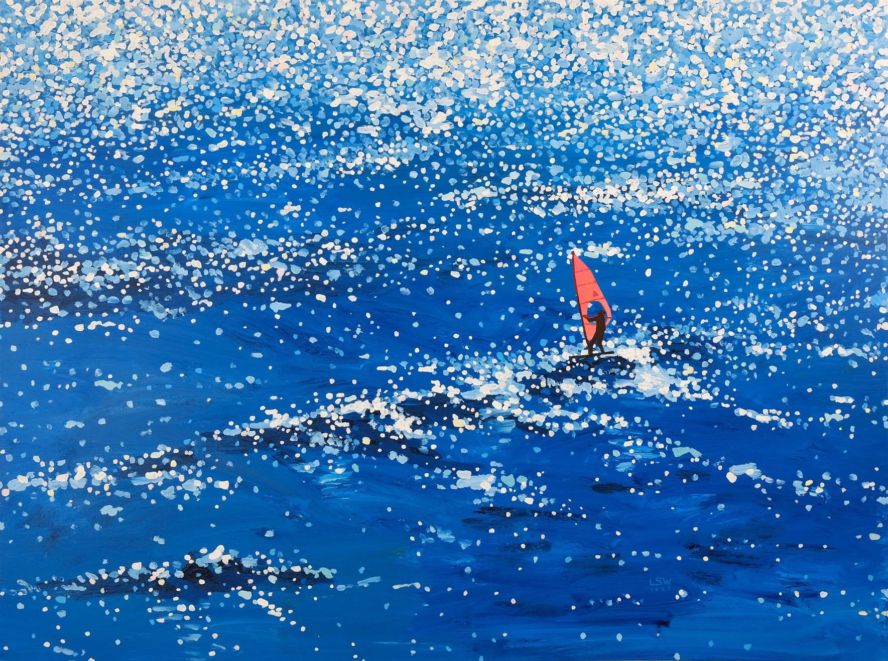 Wind Surfer